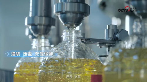 央視網(wǎng)走進(jìn)多力安心工廠 探尋降低油煙技術(shù)專利與生物基材料研發(fā)的奧秘