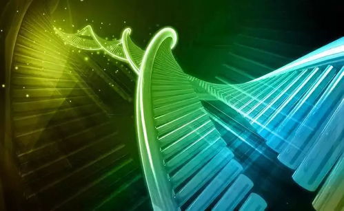 溫州生材所聯(lián)合上海交大、浙大成立研發(fā)中心，生物基材料技術(shù)助力阿爾茨海默癥治療