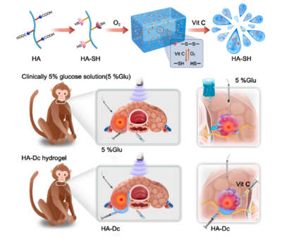 任杰與劉杰教授團隊研發(fā)多功能水凝膠，為熱消融治療帶來生物基材料新突破
